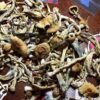 Amazonian Cubensis - Image 3